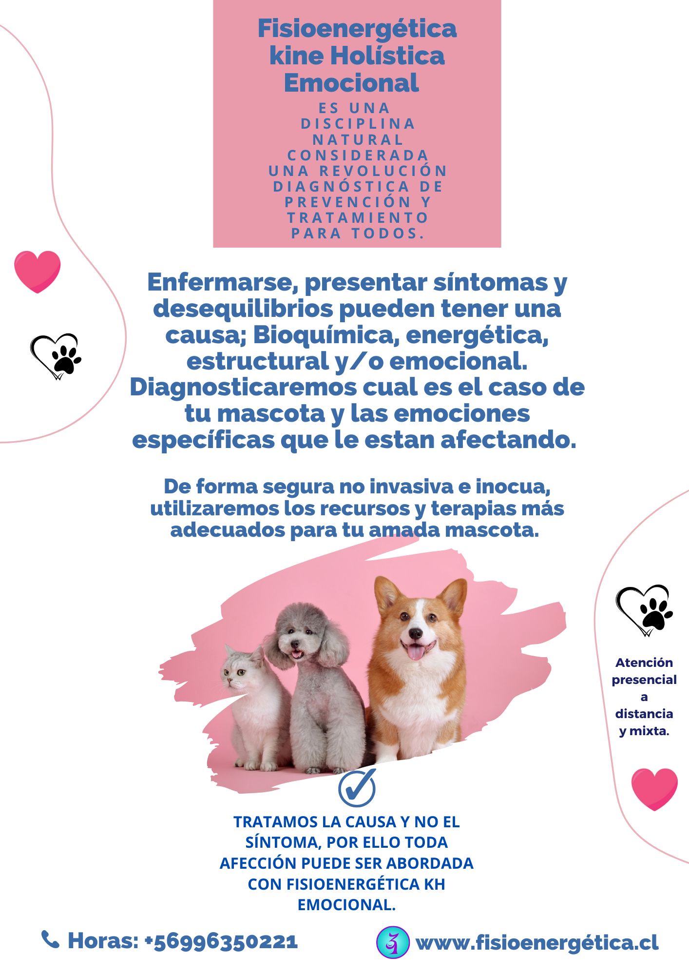 Terapia holistica Macotas